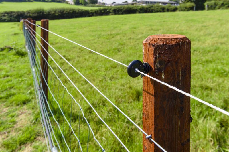 Inspecting Fence Posts